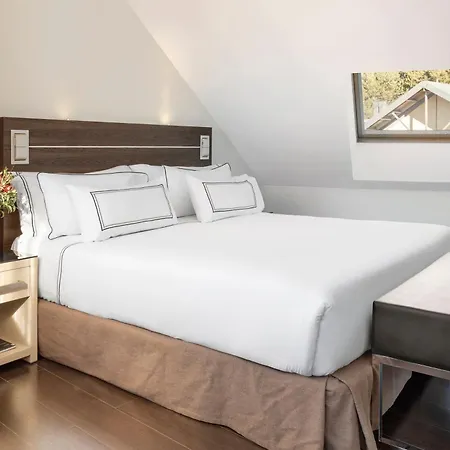 Melia Sol Y Nieve 4* Σιέρρα Νεβάδα